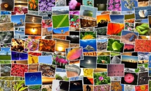 Die Werke der Digitalfotografie als Foto-Collage