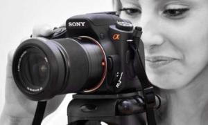 Sony Kameras werden als Einsteigerkameras immer beliebter