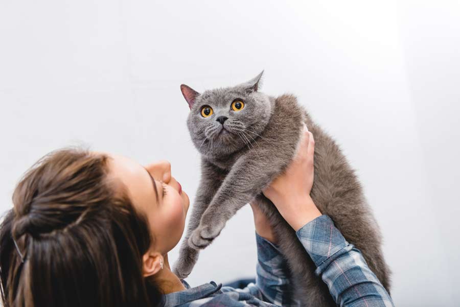 Katze in Interaktion mit seiner Besitzerin (de.depositphotos.com)