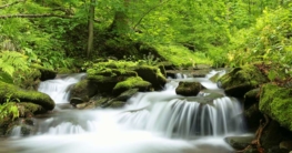 Bach im Wald mit Langzeitbelichtung aufgenommen (de.depositphotos.com)