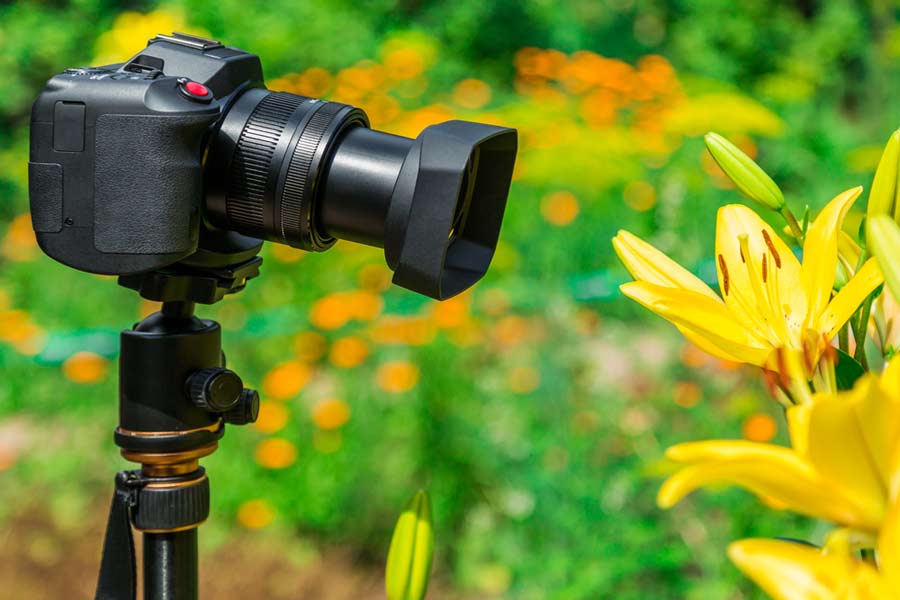 Makrofotografie Fotoausrüstung (de.depositphotos.com)