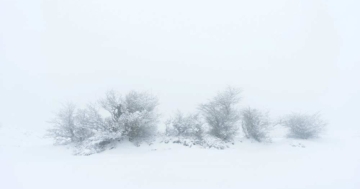 High-Key-Fotografie de.depositphotos.com)