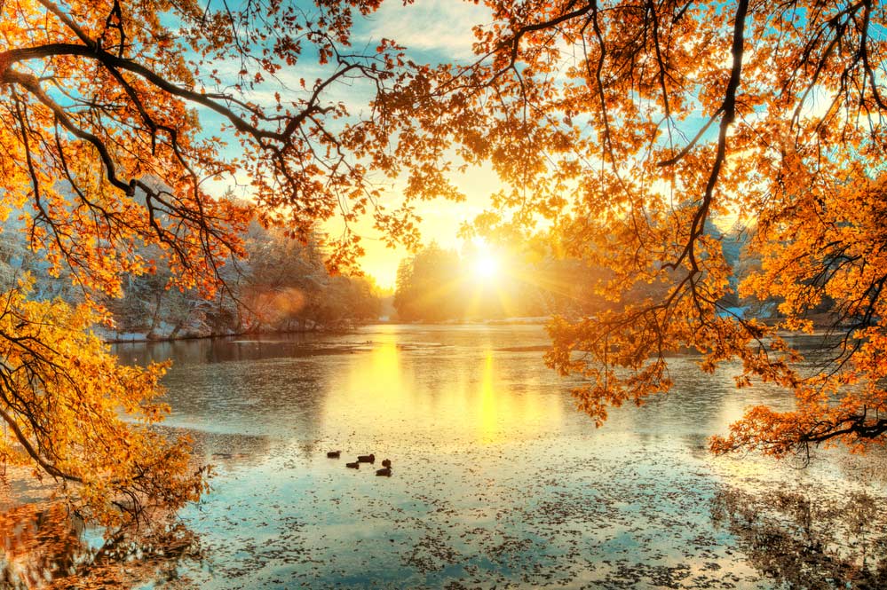 Herbstfoto mit Sonnenschein (de.depositphotos.com)