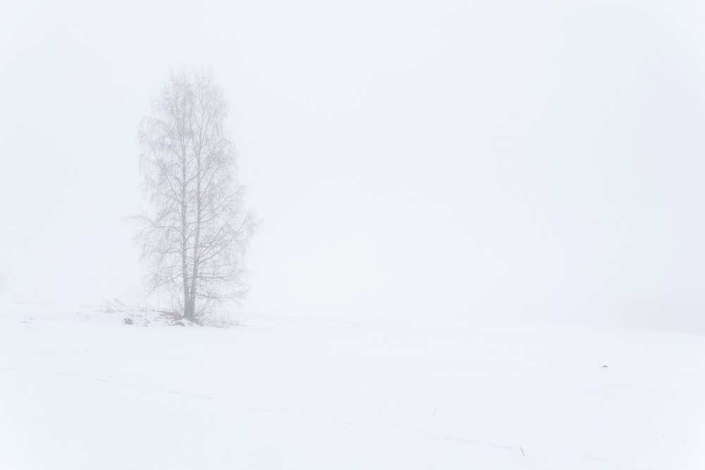 High-Key-Fotografie in der Landschaft High-Key-Fotografie in der Landschaft de.depositphotos.com)