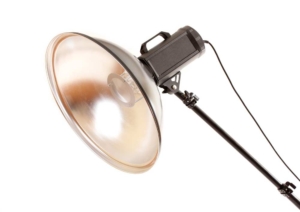 Beauty Dish Beauty Dish (de.depositphotos.com)